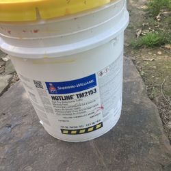 Wherein Williams Hotline Paint 5gal