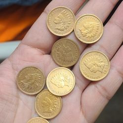 8  pretty indian heads penny 