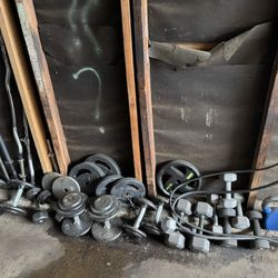 Assorted Weights