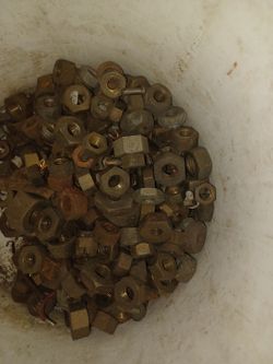 Buckets full of large nuts