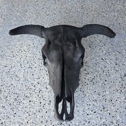 Cow Skull