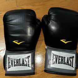 Everlast 1200013 12 oz. Sparring Gloves - Black