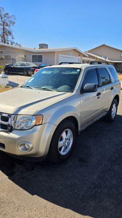 2010 Ford Escape