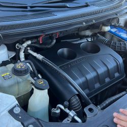 Ford aege 