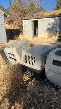 Plastic Pet Travel Crates – Lot of 3