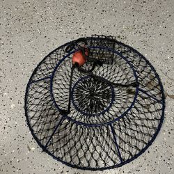Lobster Trap