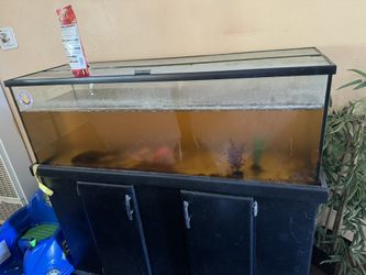 60 Gallon Fish Tank