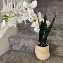 New Faux Orchid Plant 