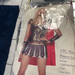 Warrior Costume