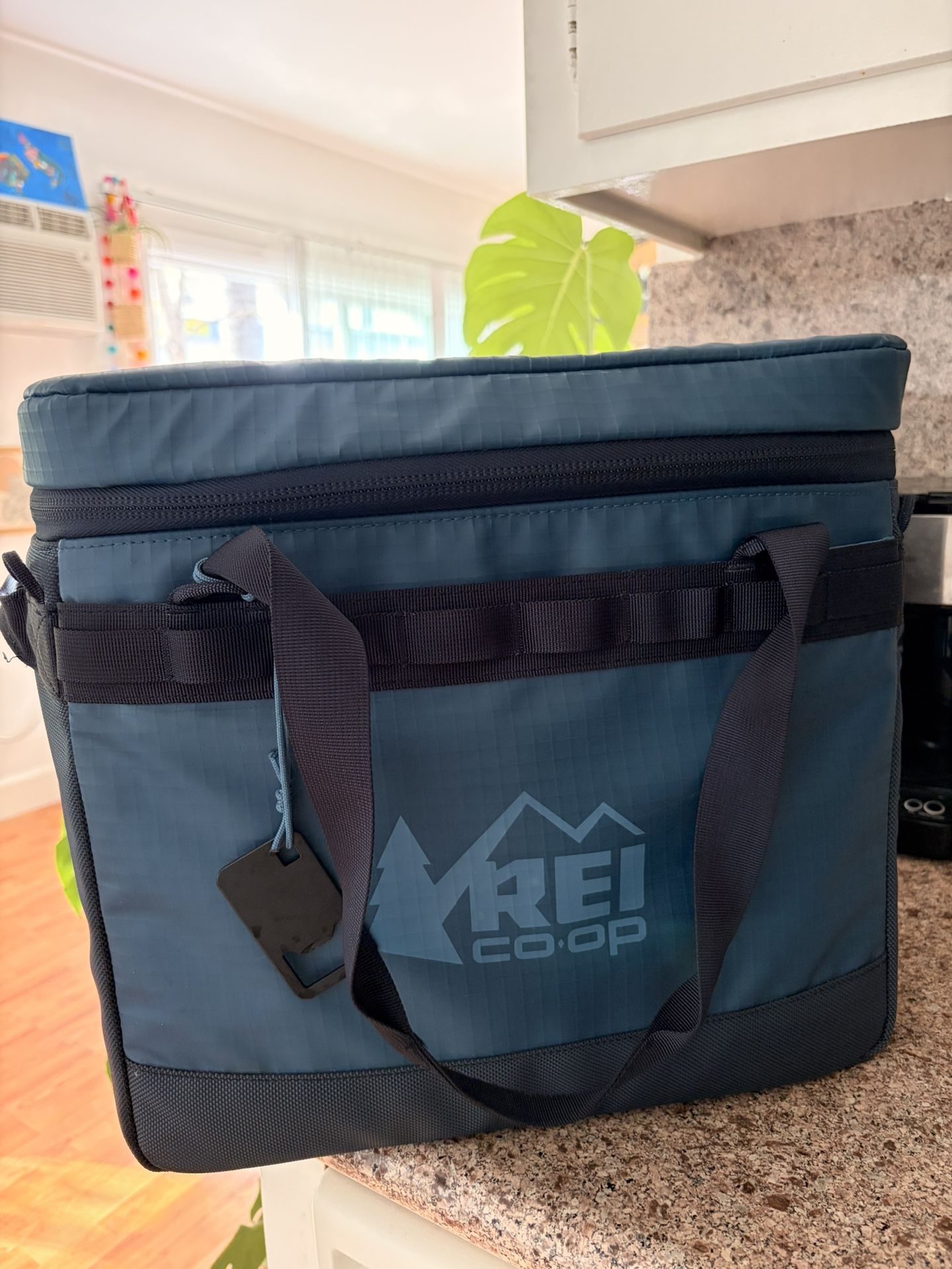REI Cooler