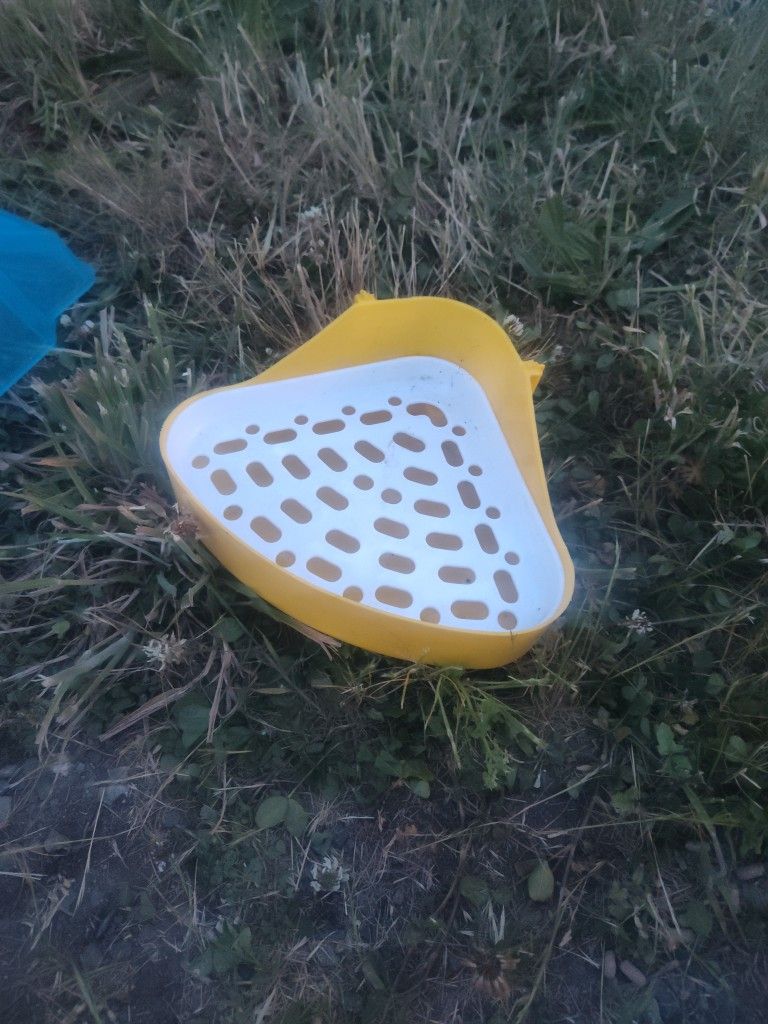 Rabbit Corner Litterbox
