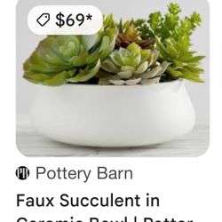 Faux Succulent In Ceramic Bowl- Pottery Barn
