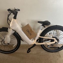 Electric Bike