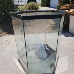 Aquarium 30 Gallon Free