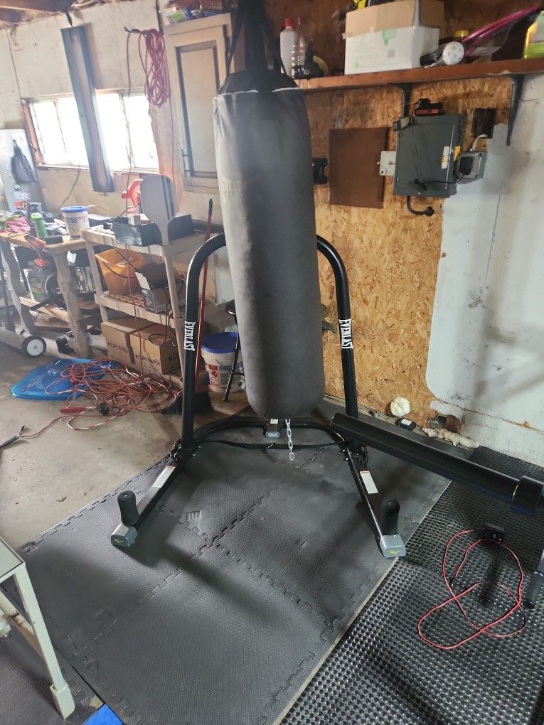 Everlast Punching Bag And Stand