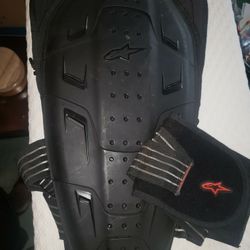 Alpinestars Back Protection 