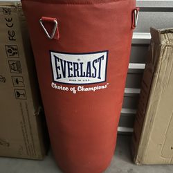 Everlast Punching Bag