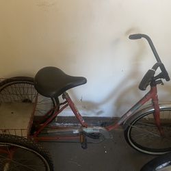 Three Wheel Bike