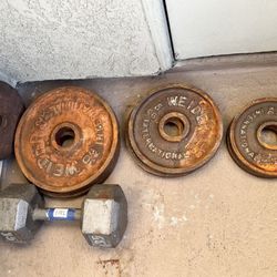 weider weights