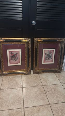 Pair of Framed Bird Art Prints