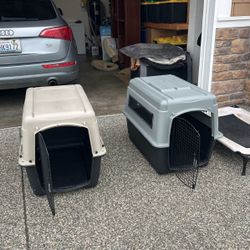 Dog Crates And Dog Hammock