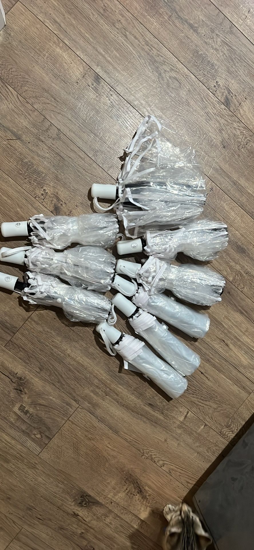 9 Clear Umbrellas