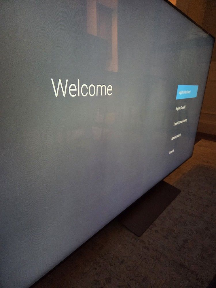 Sony 75" Flagship 3D Capable TV + Extras 