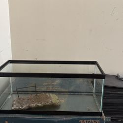 20 Gal Turtle/fish Tank