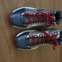 Reebok Question Mid Iverson x Harden Silver 
