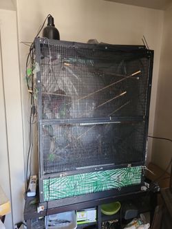 Large cage enclosure (Multi-Use)