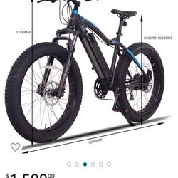 Electric Bike