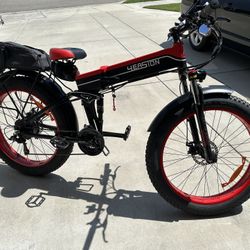 Electric Bicycle 