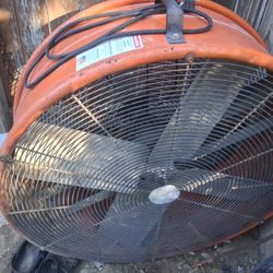 Shop Fan