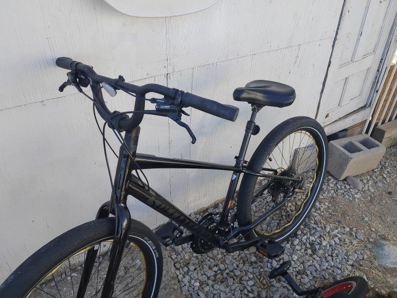 Specialized Roll Elite