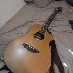 Breedlove Acoustic/Electric Guitar W/case