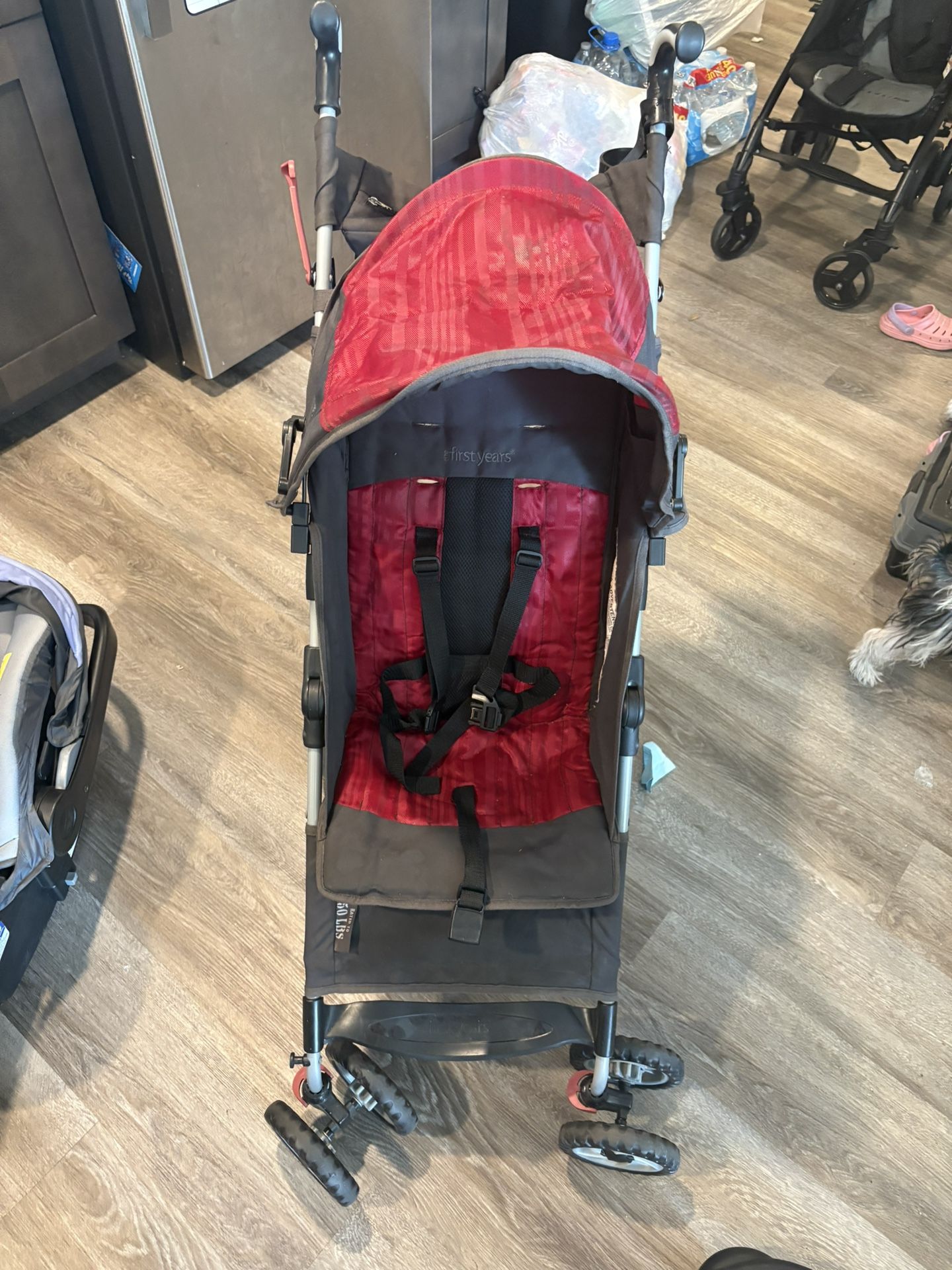 5 Point Harness Umbrella Stroller