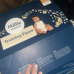 Millie Moon 2T/3T Training Diapers 