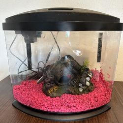 5 Gallon Fish Tank With Everything!!