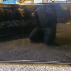  The VIZIO 48" TV 