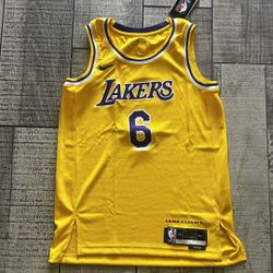 2020-2021 NBA Swingman Icon Edition Los Angeles Lakers Lebron James Jersey!
