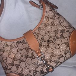 Coach Crystal Hobo Bag 