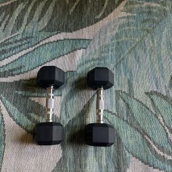10 Lb Dumbbells
