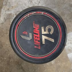 75lb DUMBBELL