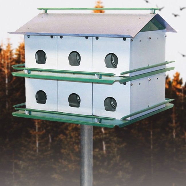 Purple Martin House
