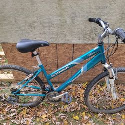 Schwinn Sidewinder FS Use BIKE