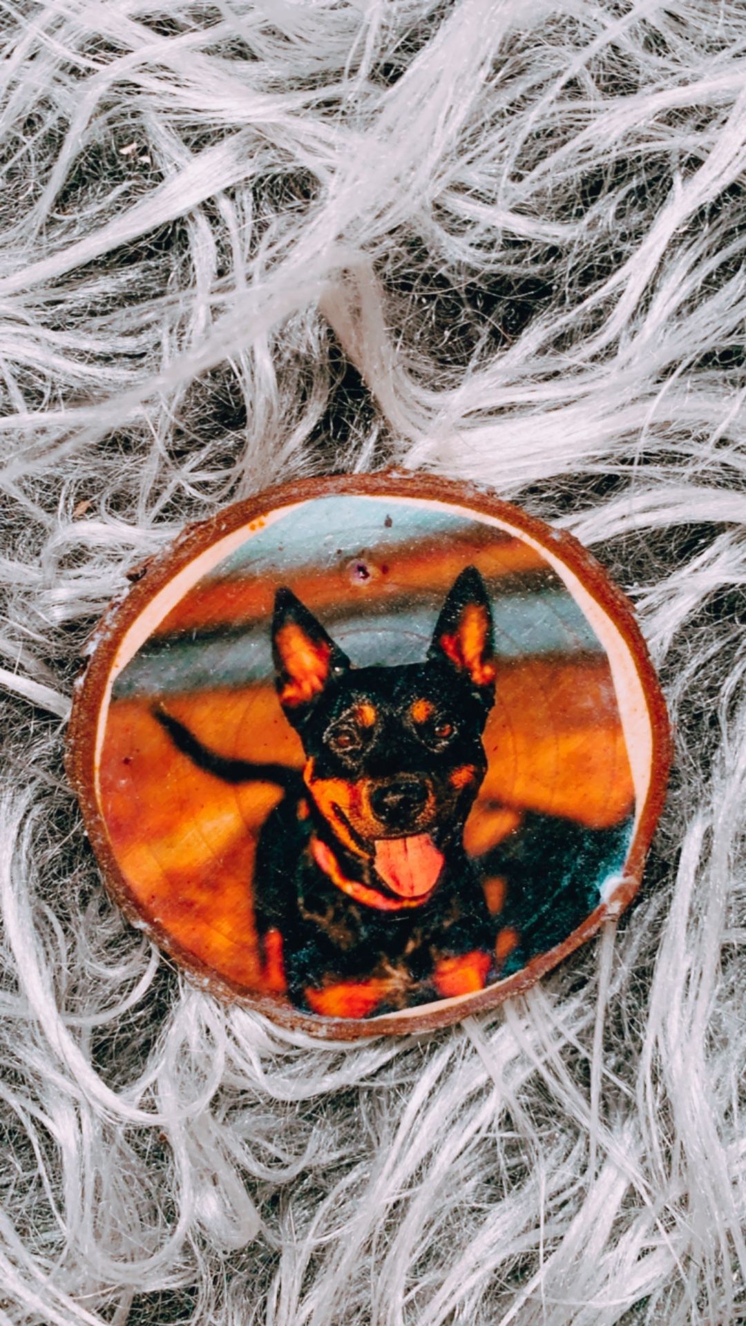 Dog ornaments