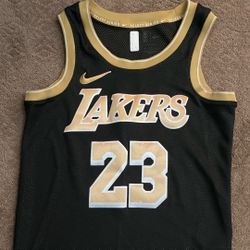 (Never Worn)LeBron James Nike Select Series Jersey