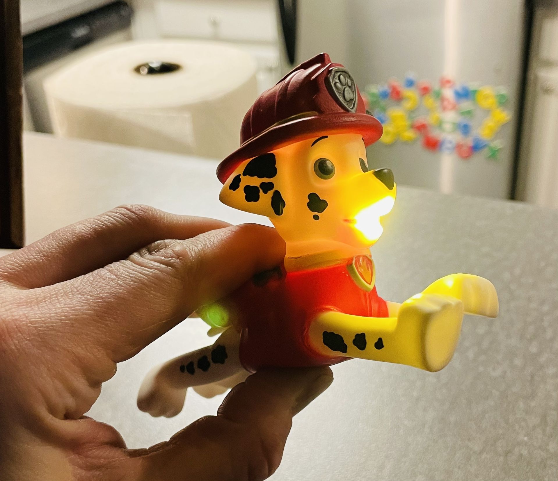 Paw Patrol Flash Light 