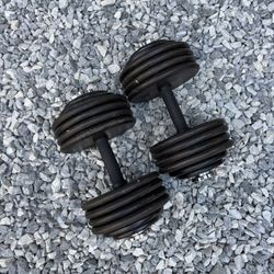 Ajustable Dumbbells 2x100 Lbs 