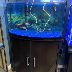 Bow-front Fish Tank And Stand 